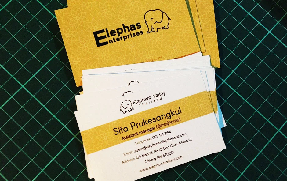 ผลงานนามบัตร 1 ปางช้าง 1