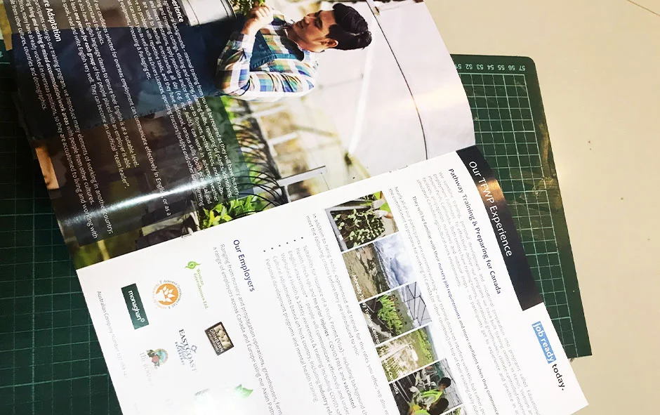 ผลงานออกแบบ2 รายงานประจำปี pathways1