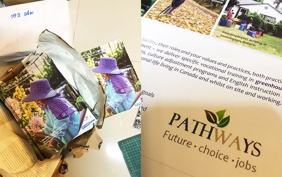 ผลงานออกแบบ2 รายงานประจำปี pathways4